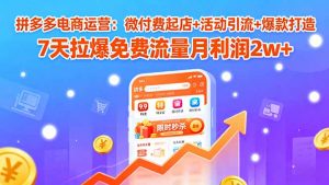 拼多多电商运营：微付费起店+活动引流+爆款打造 7天拉爆免费流量月利润2w+-天韵资源网
