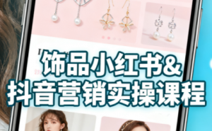 抖音+小红书饰品卖货：货源、开店、内容全教会-天韵资源网