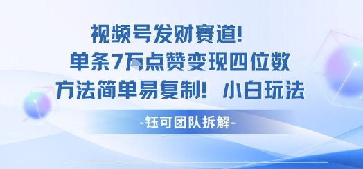 视频号发财赛道单条7W点赞变现四位数方法简单易复制小白玩法-天韵资源网