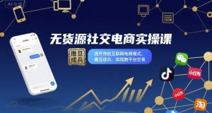 无货源社交电商实操课，绕开传统互联网电商模式，撒豆成兵，实现跨平台交易-天韵资源网