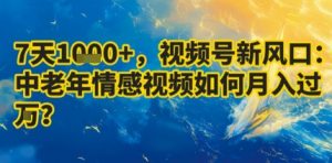 7天收益1k+，视频号新风口：中老年情感视频如何月入过W?-天韵资源网