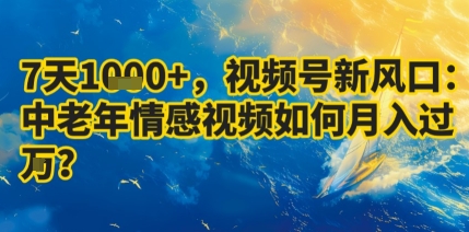 7天收益1k+，视频号新风口：中老年情感视频如何月入过W?-天韵资源网