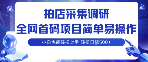 拍店采集调研，全网首码项目，简单易操作， 小白也能轻松上手，多账号操作，轻松日入5张【揭秘】-天韵资源网
