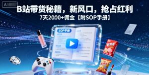 B站带货秘籍，新风口，抢占红利，7天2k+佣金【附SOP手册】-天韵资源网