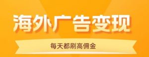 用手机看海外广告，每天10分钟，单机日入20+，无需养鸡，保姆级教程-天韵资源网