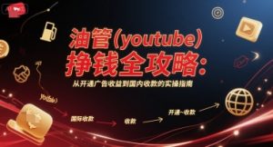 油管(youtube)挣钱全攻略：从开通广告收益到国内收款的实操指南(更新)-天韵资源网