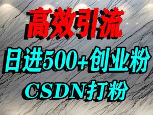 怎么打创业粉？CSDN又一个你不知道的打粉引流神秘平台，单人日引500+精准流量-天韵资源网