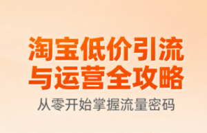 淘宝低价引流与运营全攻略(更新9月)-天韵资源网