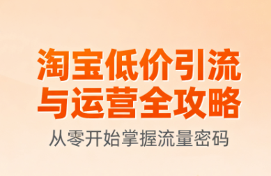 淘宝低价引流与运营全攻略(更新9月)-天韵资源网