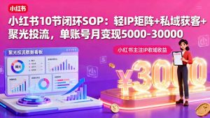 小红书10节闭环SOP：轻IP矩阵+私域获客+聚光投流，单账号月变现5000-30000-天韵资源网