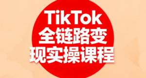 小杨老师·TikTok全链路变现实操课程-天韵资源网