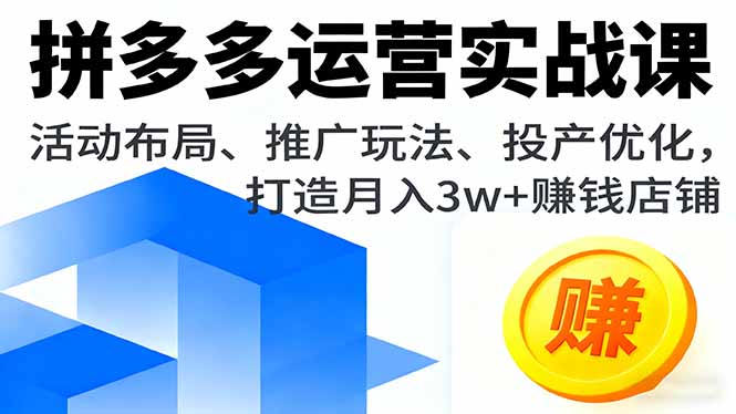 拼多多运营实战课，活动布局、推广玩法、投产优化，打造月入3w+赚钱店铺-天韵资源网