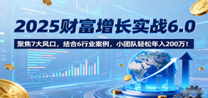 2025财富增长实战6.0，聚焦7大风口，结合6行业案例，小团队轻松年入200万！-天韵资源网