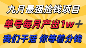 九月最强捡钱项目！ 支付宝分成代运营，我们干活，你分钱！单号月产1w+-天韵资源网