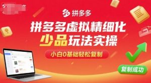 拼多多虚拟精细化少品玩法实操，小白0基础轻松复制-天韵资源网