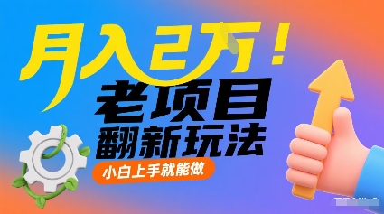 月入2W！老项目翻新玩法，小白上手就能做，非常容易上手-天韵资源网