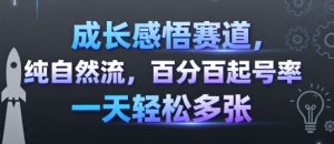 成长感悟赛道，纯自然流，百分百起号率 一天轻松多张-天韵资源网