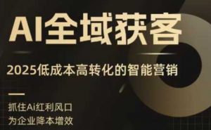AI全域获客实训营，2025低成本高转化的智能营销，精准找客，高效营销-天韵资源网