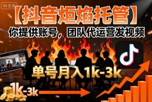 【抖音炬焰托管】你提供账号，团队代运营发视频，单号月入1k+【揭秘】-天韵资源网