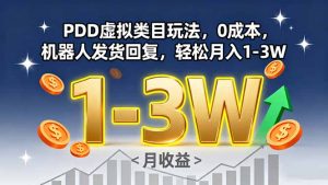 PDD虚拟类目玩法，0成本，机器人发货回复，轻松月入1-3W-天韵资源网