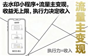 去水印小程序+流量主变现，收益无上限，执行力决定收入-天韵资源网