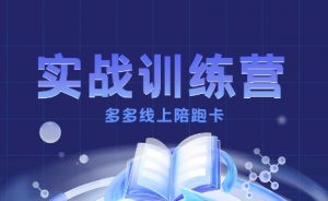 多多实战训练营,从0到1打造一个真正賺钱的店铺-天韵资源网
