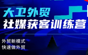 大卫老师·外贸社媒获客独家训练营(更新10月)-天韵资源网