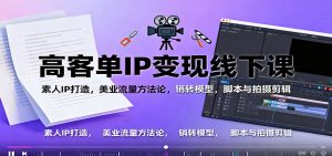 高客单IP变现线下大课:素人IP打造,美业流量方法论,销转模型,脚本与拍摄剪辑-天韵资源网