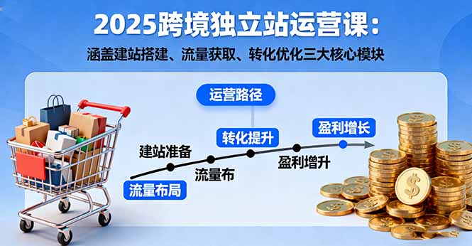 2025跨境独立站运营课：涵盖建站搭建、流量获取、转化优化三大核心模块-天韵资源网