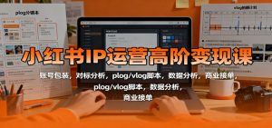 小红书IP运营高阶变现课:账号包装,对标分析,plog/vlog脚本,数据分析,商业接单-天韵资源网
