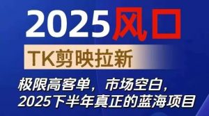 2025风口TK剪映capcut拉新项目，极限高客单，市场空白，2025下半年真正的蓝海项目-天韵资源网