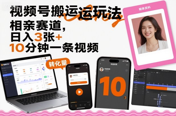 视频号搬运玩法，相亲赛道，日入3张+，10分钟一条视频-天韵资源网