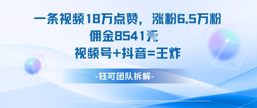 一条视频18W点赞，涨粉6.5W粉佣金8541米，视频号+抖音=王炸-天韵资源网