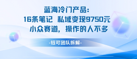 蓝海项目：16条笔记私域变现9750米小众赛道操作的人不多-天韵资源网