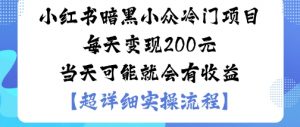 小红书暗黑小众冷门项目每天变现2张当天可能就会有收益-天韵资源网