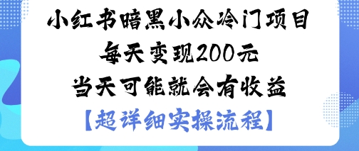 小红书暗黑小众冷门项目每天变现2张当天可能就会有收益-天韵资源网