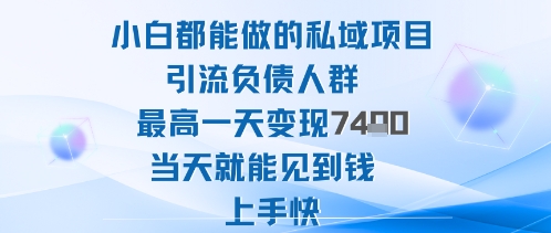 2025年小白都能做的私域项目引流负债人群最高一天变现1k+高变现难度低当天就能见到钱上手快-天韵资源网