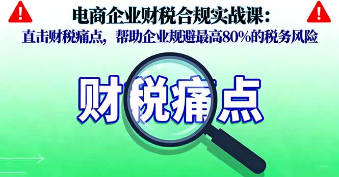 电商企业财税合规实战课，直击财税痛点，帮助企业规避最高80%的税务风险-天韵资源网