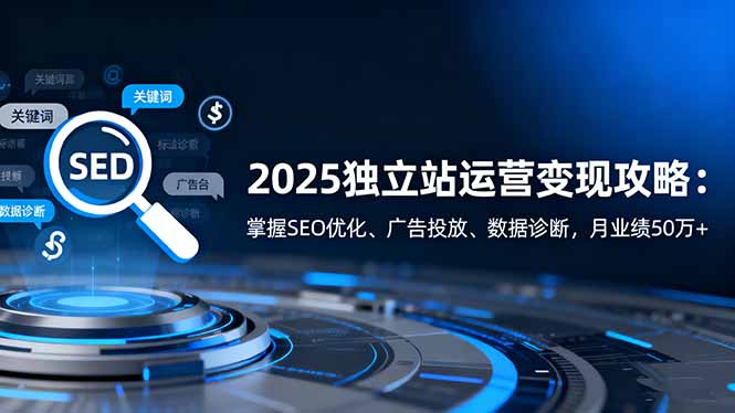 2025独立站运营变现攻略:掌握SEO优化、广告投放、数据诊断,月业绩50万+-天韵资源网
