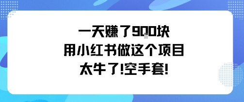 一天挣了9张用小红书做这个项目太牛了，空手套-天韵资源网