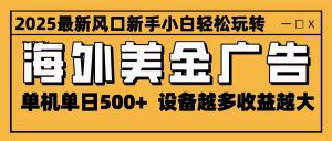 2025最新风口 海外美金广告 单机单日500+ 可无限放大 设备越多收益越大 轻松上手-天韵资源网