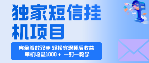 2025全新电脑挂机项目  操作简单，单机当天收益1000+，收益无上限，可...-天韵资源网