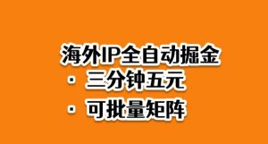 海外ip全自动掘金,2025必做蓝海项目,3分钟落地,矩阵直接开干【揭秘】-天韵资源网