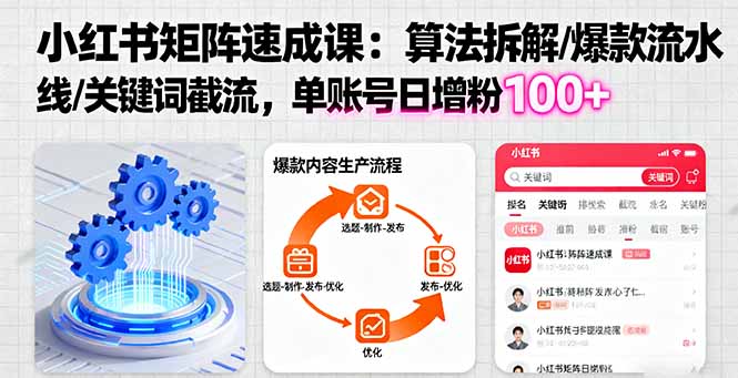 小红书矩阵起号速成课：算法拆解/爆款流水线/关键词截流 单账号日增粉100+-天韵资源网