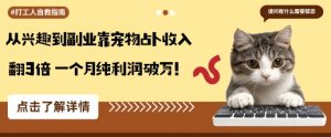 从兴趣到副业靠宠物占卜收入翻3倍一个月纯利润破W-天韵资源网
