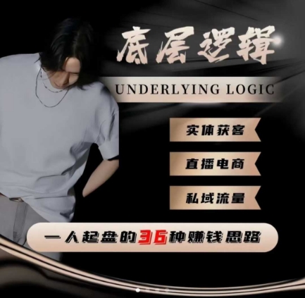 一个人起盘的底层逻辑，私域流量-直播电商-实体获客，一人起盘的36种賺钱思路-天韵资源网