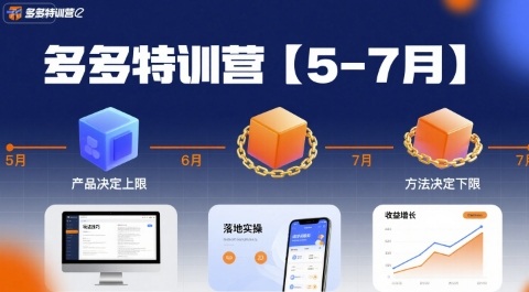 多多特训营，产品决定上限，方法决定下限，各种玩法技巧落地实操(更新)-天韵资源网