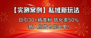 【实测案例】私域新玩法，日引30+精准粉，转化率50%，新人照做也能出单！-天韵资源网