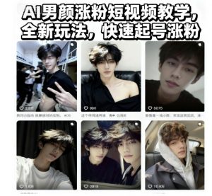 AI男颜涨粉短视频教学,全新玩法,快速起号涨粉-天韵资源网