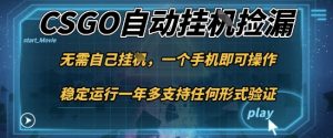 游戏自动挂G捡漏,一个手机即可操作,当天可操作见到结果,新手小白轻松月入1W+【揭秘】-天韵资源网